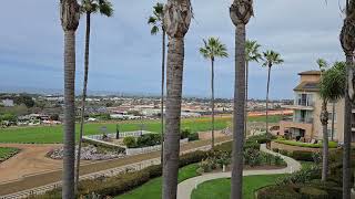 The view from our room in Carlsbad! #springbreak #flowerfield #california