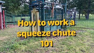 How to work a squeeze chute