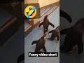Funny video part 4🤣