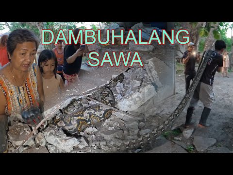 ANG NAPAKA LAKING SAWA SA FLOORING KUMAIN NG MGA TUTA