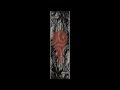 Capture de la vidéo Monte Penumbra - As Blades In The Firmament - Full Album