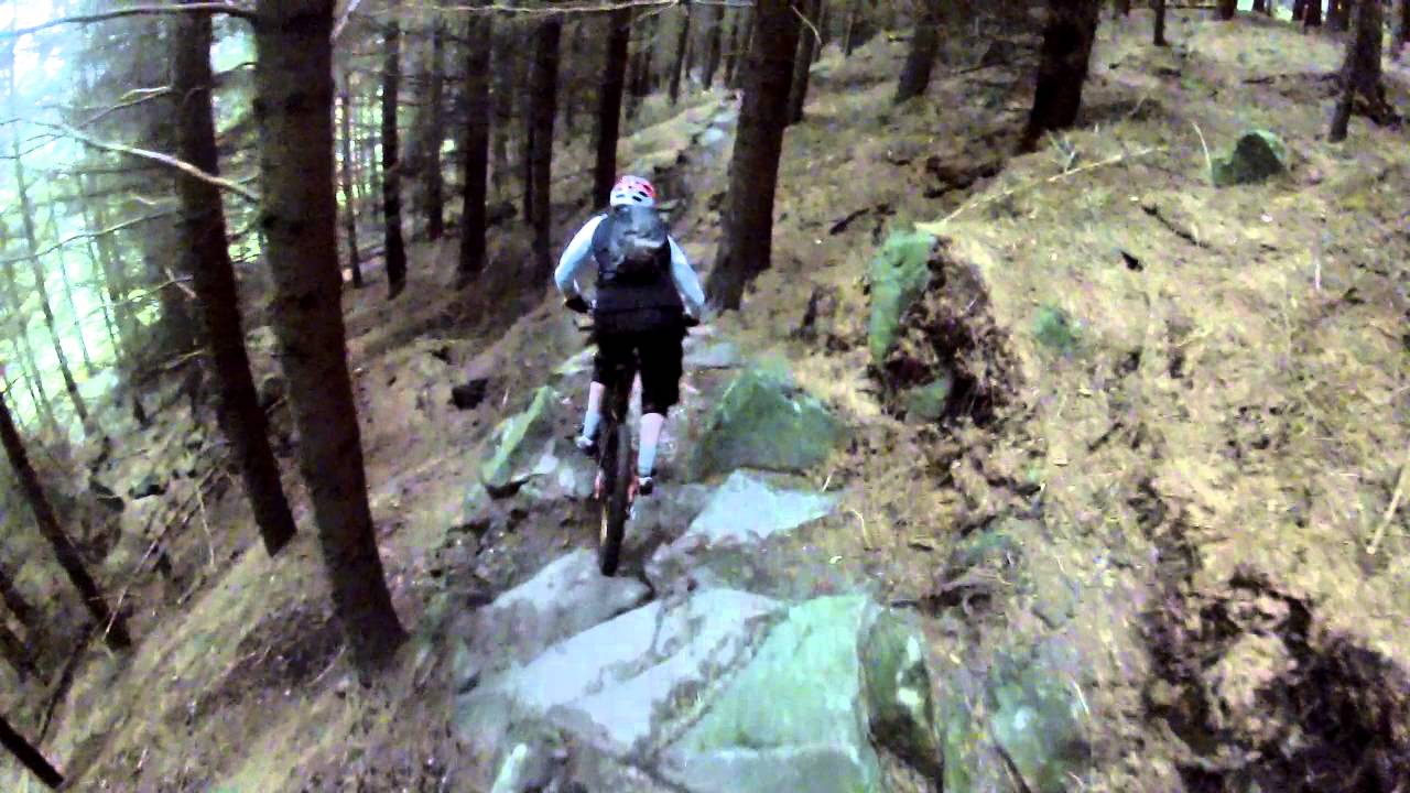 stainburn forest mtb