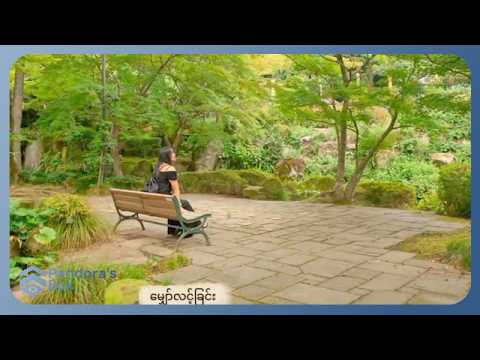 စိမ်း - တခါက မင်း (Lyric Visualizer)