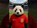 Meme Panda Chinês Futebol #panda #china #futebol ⚽️ 🥅 🏟️ 🇮🇹🇨🇳🐼