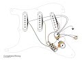 Triple Humbucker Wiring Diagram