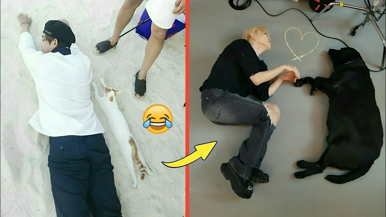 BTS дразнят животных (милые моменты)