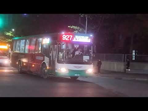 三重客運 927路線 經左岸公園 快速公車轉乘優惠 往三重 KKB-1511 高巴階梯式『中興巴士』815路線 往故宮博物院 510-FZ 金龍低地板公車
