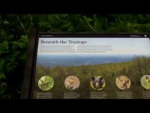 Maryland to Shenandoah, VA- Day Three and Four- Deer, Waterfalls, and Downpours