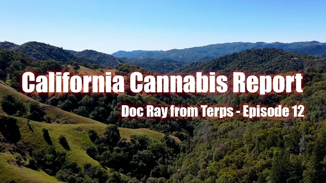 California Cannabis Report - Episode 12 - Interview with Doc Ray from Terps