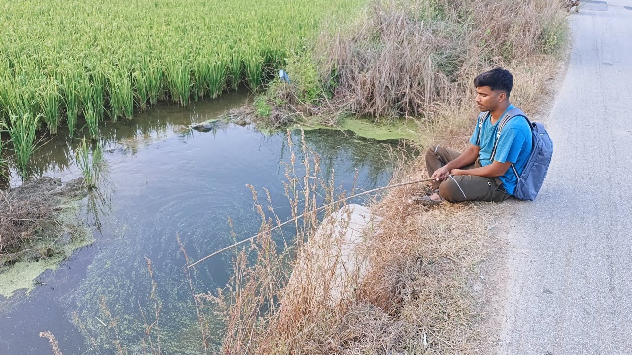 A indian boy catching fishes on the road side of water  | tilapia hunter | Hobby 2 Catch | Episode-8