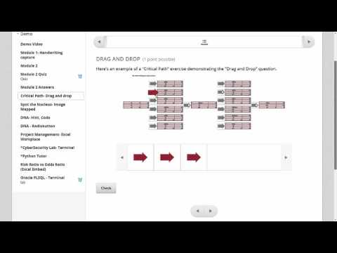 Drag Drop Quiz Critical Path