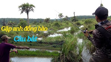 Bãi câu cá lóc hố trâu lên 5 con liền / Gặp anh đồng bào câu