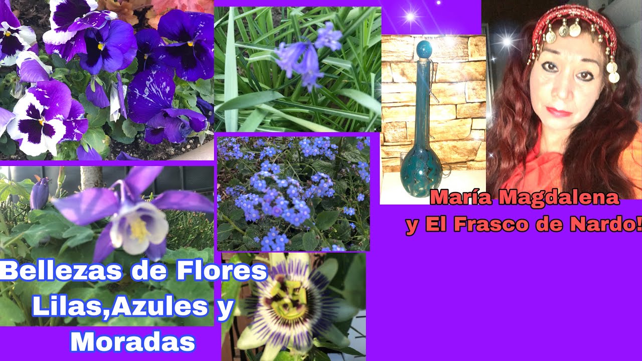 Exóticas Flores de color Azul,lila, - YouTube