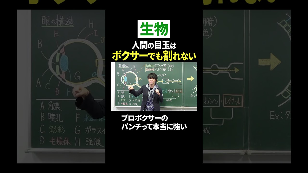 【生物】人間の目はプロボクサーでも割れない!? #shorts #ただよび #生物 #受験 #プロボクサー