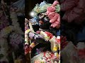 Harmony Health With Ankita #shortvideo #ekadashi #krishnabhakti #chalisa #radhakrishna #ekadashivrat