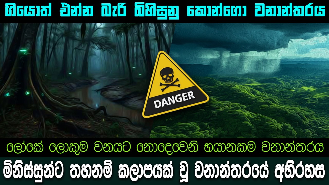 ගියොත් කවදාවත් එන්න බැරි කොන්ගො වනාන්තරයේ අභිරහස | ඇමසන් වනයට නොදෙවෙනි කැලේ | 😮😱😱