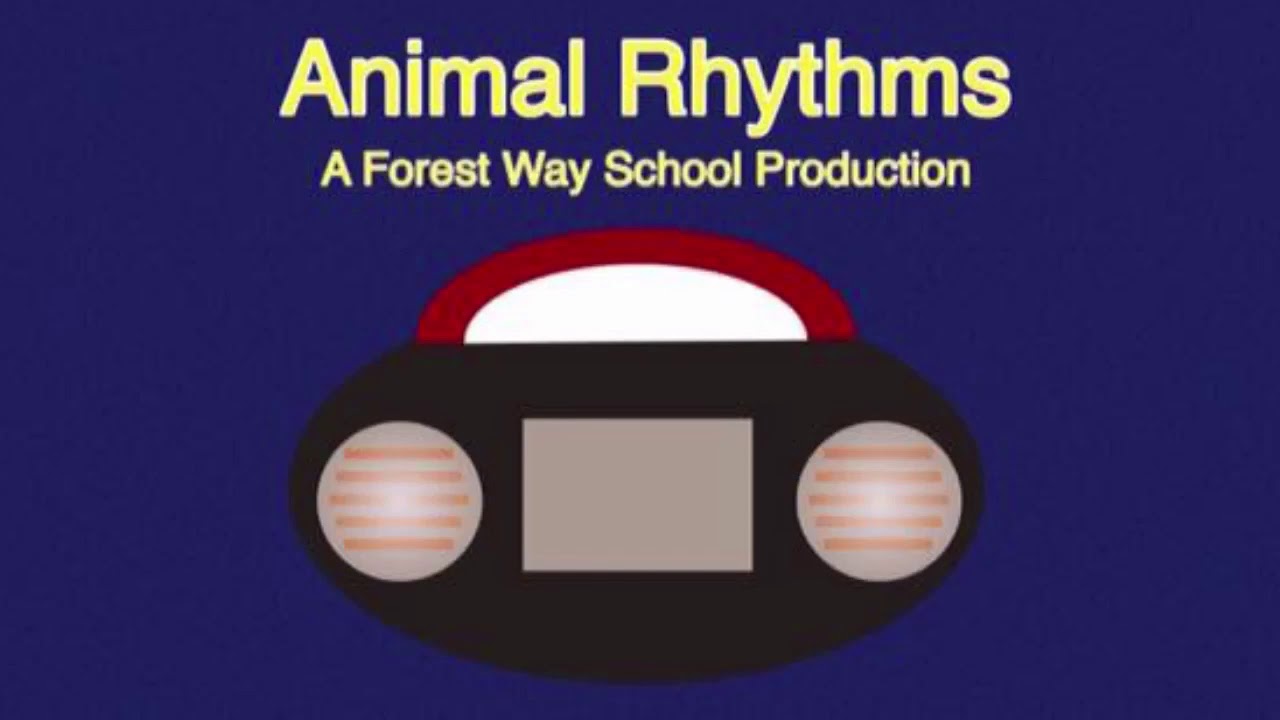 camera iphone 8 plus apk Animal Rhythms: A Forest Way School Production 🎸