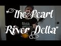 The Pearl River Delta