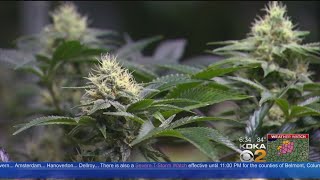 Emergency Rooms Seeing Rise In Syndrome Related To Marijuana Use