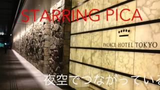 夜空でつながっている