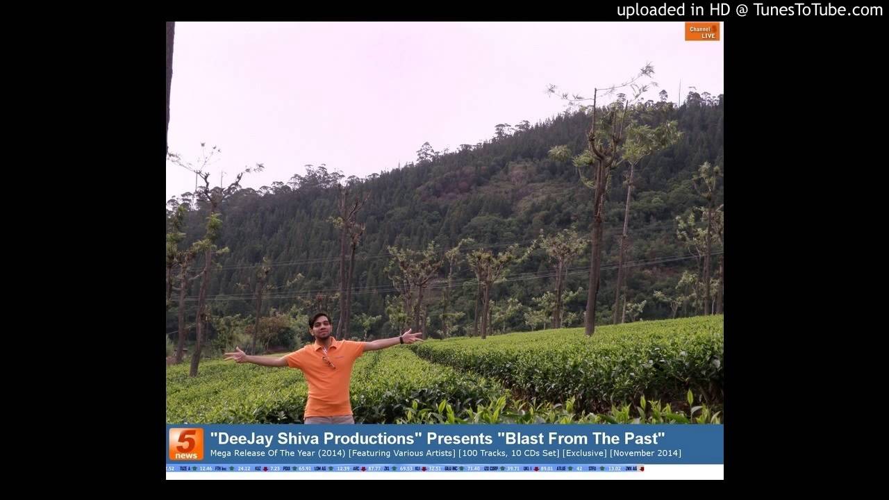 04. DeeJay Shiva Productions Feat. Amen Panesar, E.V. , Advo, Faze & Tumbiwalla - Nakhre [2014 Versi