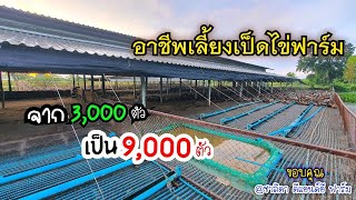 อาชีพเลี้ยงเป็ดไข่ฟาร์ม กับรายรับ 300,000 ต่อเดือน | แนวทางและการจัดการดูแล