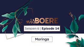 Nisboere 6 Episode 14 Moringa