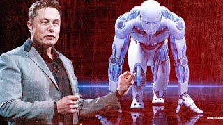 Find What Elon Musk Said About Real World AI