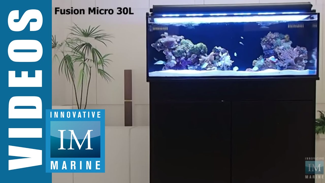 innovative marine nuvo fusion