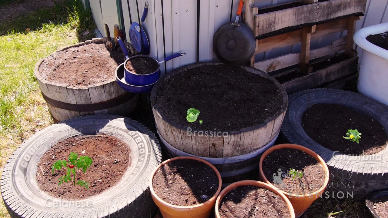 Garden Rotation | From the Ground Up