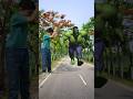 Hulk man | Spider man  | Ghost funny vfx magic | Vfxgaurav #shorts #funny