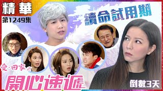 【愛．回家之開心速遞精華短片】第1249集精華 續命試用期｜滕麗名｜劉丹｜周嘉洛