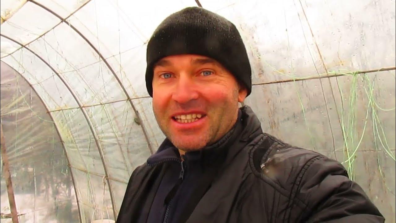 а что в выходные тоже надо что то делать. работать тоже надо. работать тоже надо. котики приколы с надписями. карикатуры про работу.