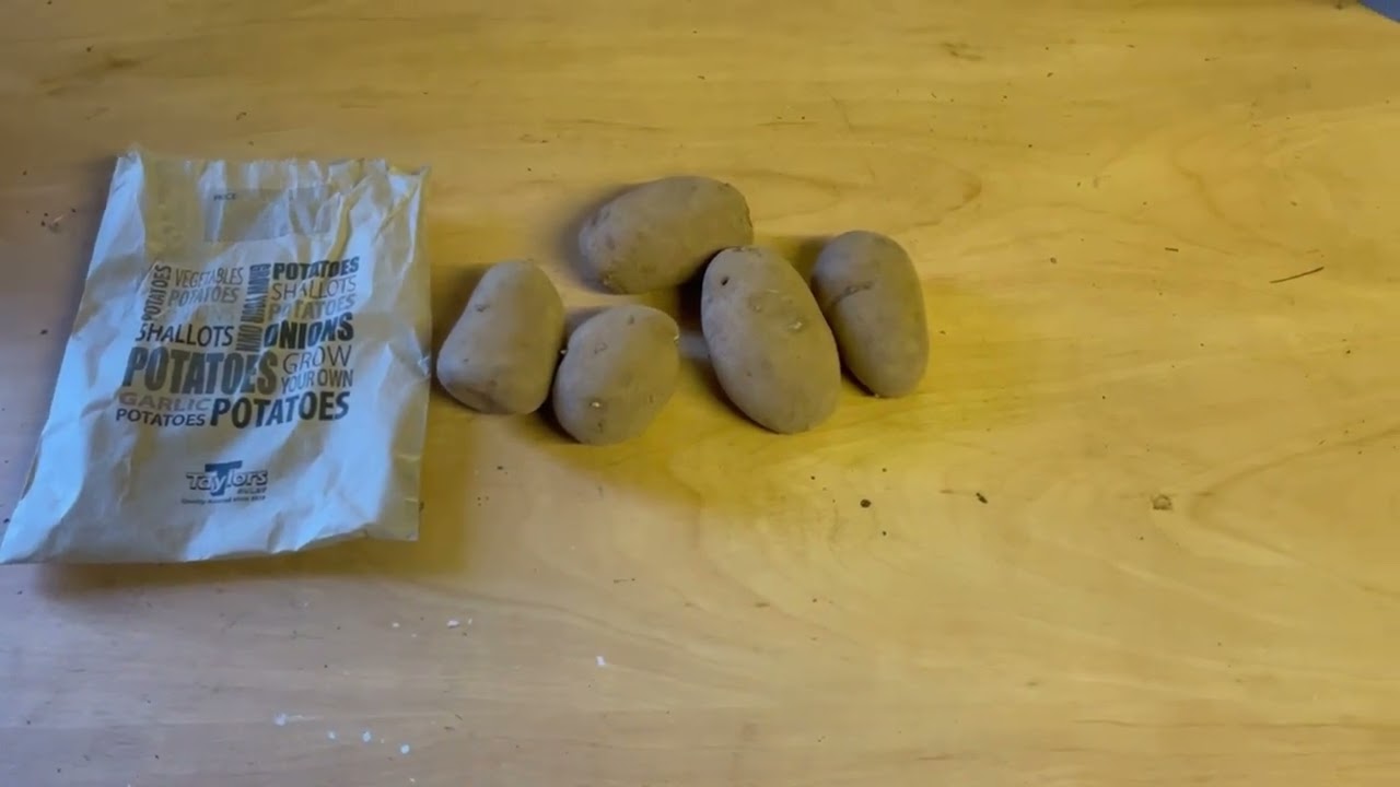 Allotment Jobs To Get In The Mood For Spring 👍