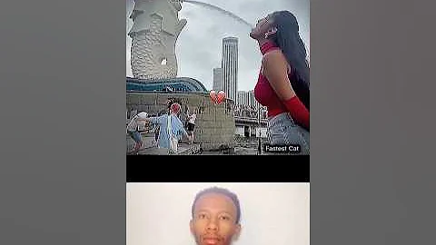 Video 10575121: funny cat explore, cat funny dance