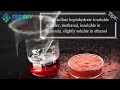 Cobalt Sulfate Heptahydrate