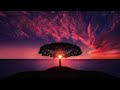 Relaxing sunset mashup sunset chillout playlist  growself