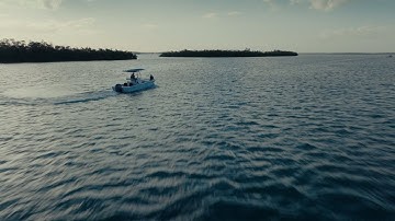 FGCU: Your University