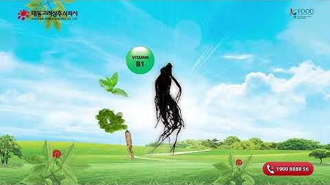 Nước hắc sâm dạng chiết xuất 90 gói Daedong