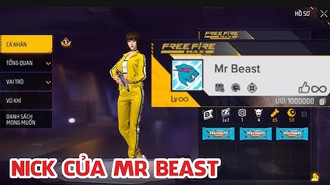 Mình Vô Tình Tìm Thấy Nick Của Mr Beast Trong Game Free Fire