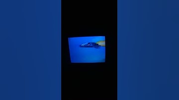 G.I Joe Lights Camera Cobra Trailer 1986