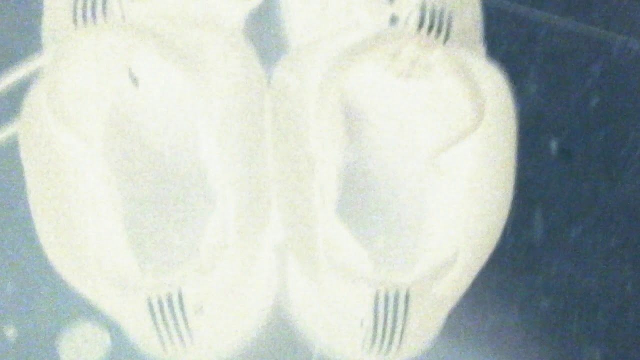 have a nike day collection