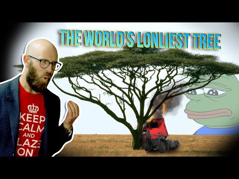 Surviving the Sahara Desert with the World's Loneliest Tree thumbnail