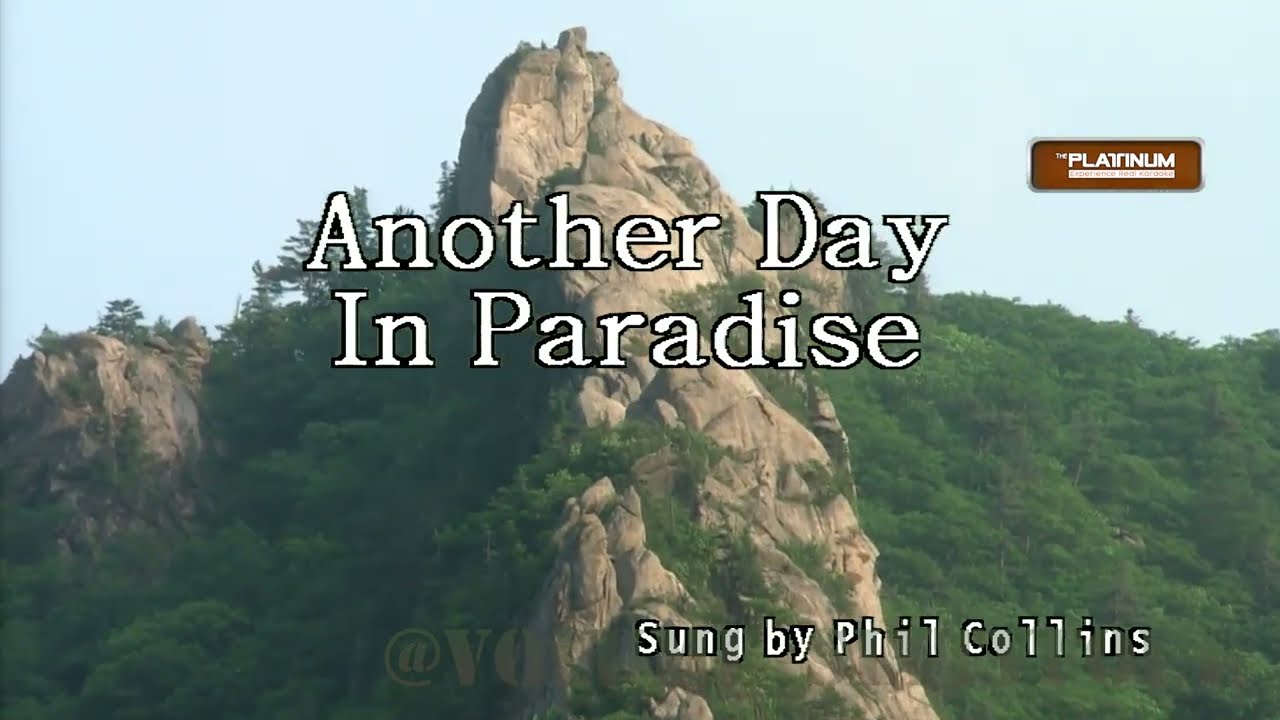 Phil Collins - Another Day in Paradise || Karaoke/Lyrics/Instrumental