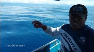 Big yellowfin Tuna Amazing Bro