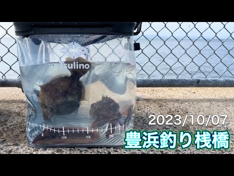 【豊浜釣り桟橋】スーパーで売っている200円の食材でカワハギが沢山釣れました