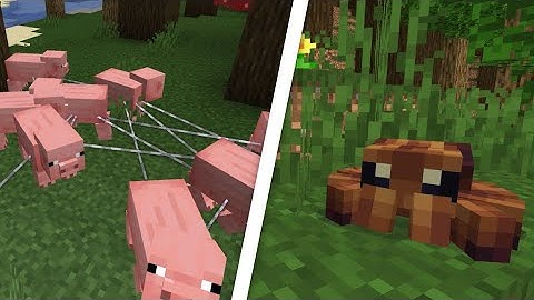 The silk leash - Critters and companions preview