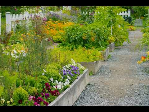 Перший Сад: Посібник для Початківців Створення Власного Саду