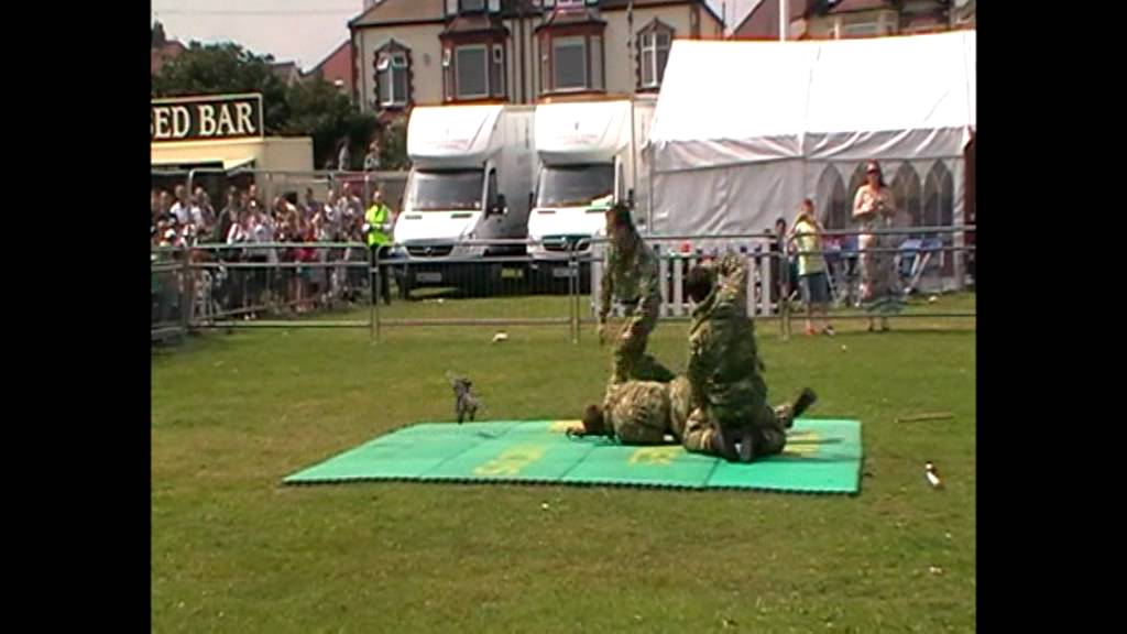 Sunderland International Air Show 2011 - Royal Marine Commandos Unarmed Combat Display.mpg