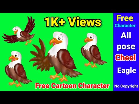 Cheel #Character Green screen || Eagle/Cheel All pose || Talking || Flying || Silent||copyright Free